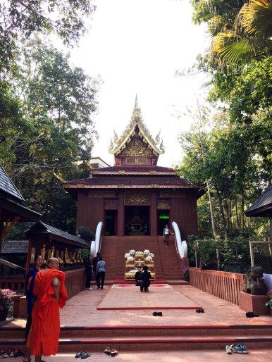 16735174_1662155730477744_131010696_o