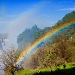 Bulawayo, Victoria Falls, and Chobe National Park